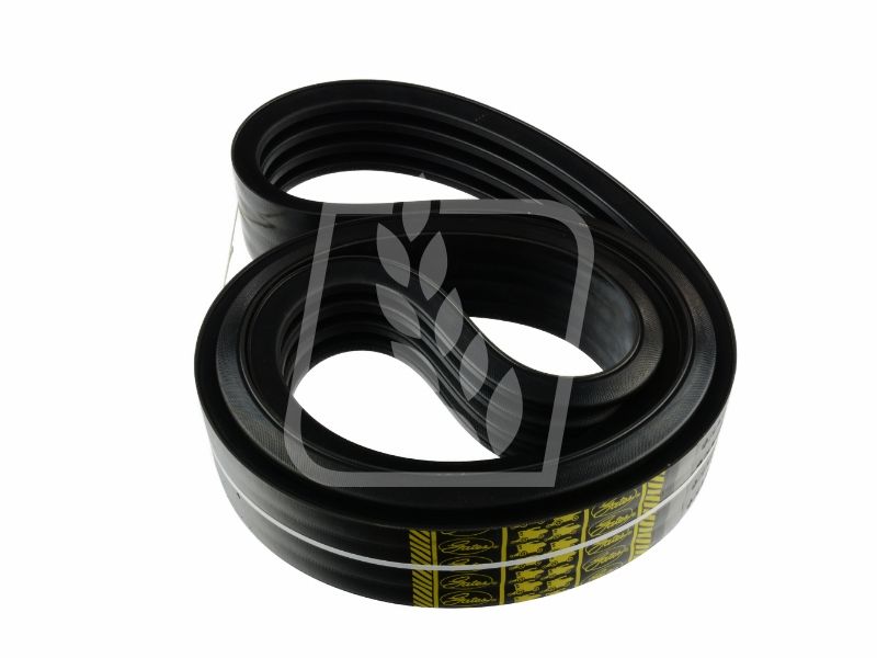 Pas Gates 0357308