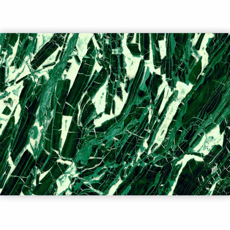 Fototapeta samoprzylepna Artgeist Tła i desenie zielona 343x256 (7 części) 10007aa rolka 1 szt