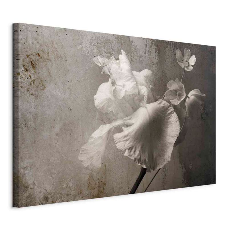 Obraz Artgeist Wenecki blask 60 x 40 cm flizelina 1 szt