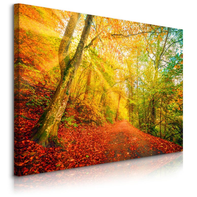 Obraz Muralo Na Płótnie Wielokolorowy Las Drzewa Natura Do Sypialni 120x80 cm 1 szt.