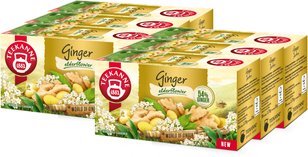 6x Herbata owocowa w kopertach Teekanne Ginger Elderflower, imbir i kwiat bzu, 20 sztuk x 1.75g