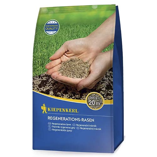 1 szt, Regenerations - Rasen (500 g) - Samen: Ilość w opakowaniu: 1 Stück