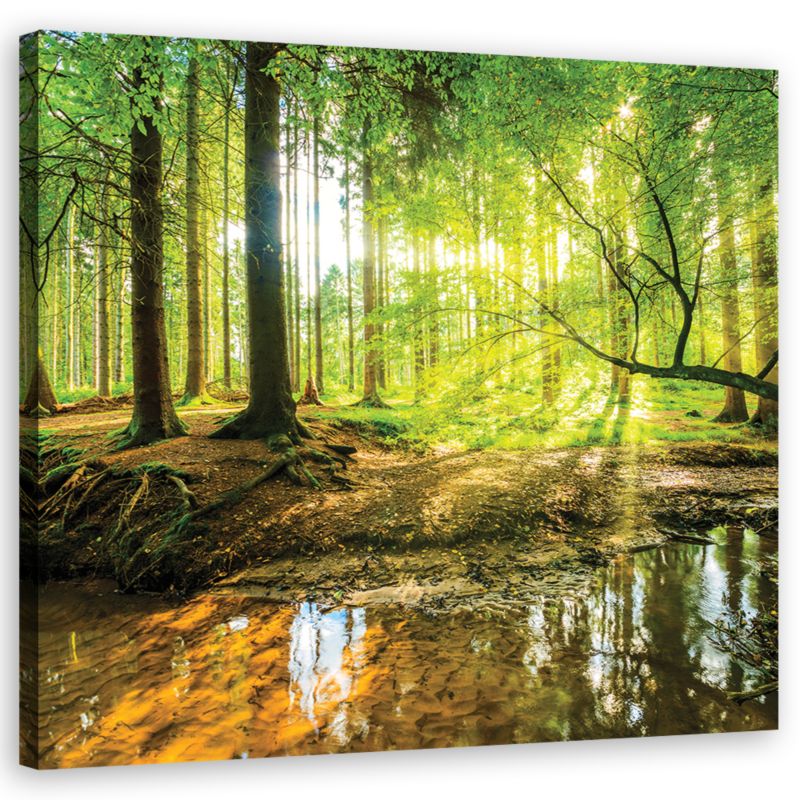 Obraz do salonu sypialni Feeby Las Jezioro Natura Zielony 50x50cm 1szt