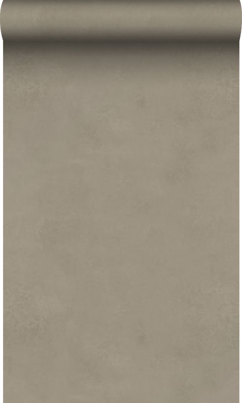 Tapeta Origin Wallcoverings tynk gliniany taupe 50 x 900 cm - 1 rol.