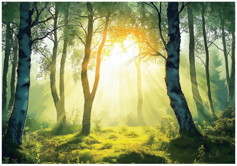 Fototapeta 3D Las Drzewa Natura WALLARENA 350x250 cm Tapeta Do Sypialni Salonu Na Flizelinie 1 szt.