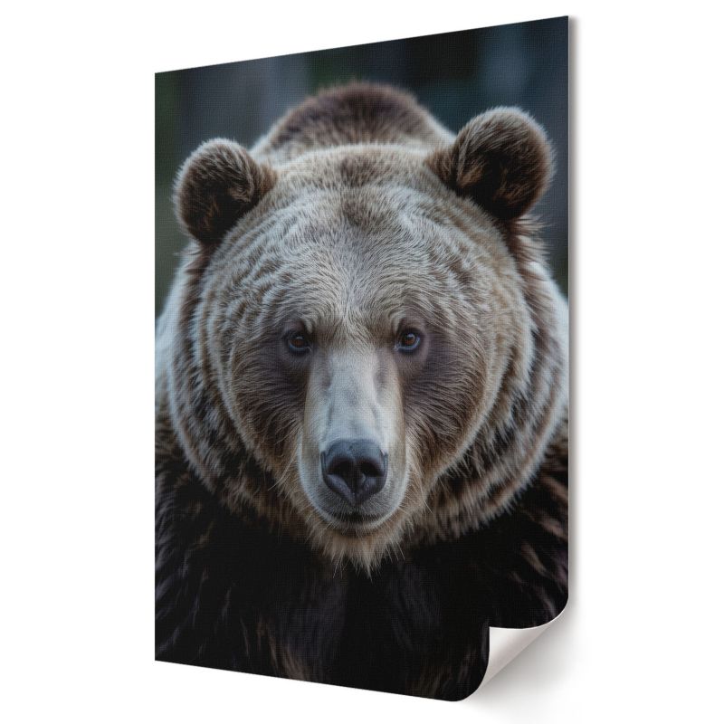 Plakat Wallfluent Format A3 Niedźwiedzia siła Artysta Omega 1 szt.