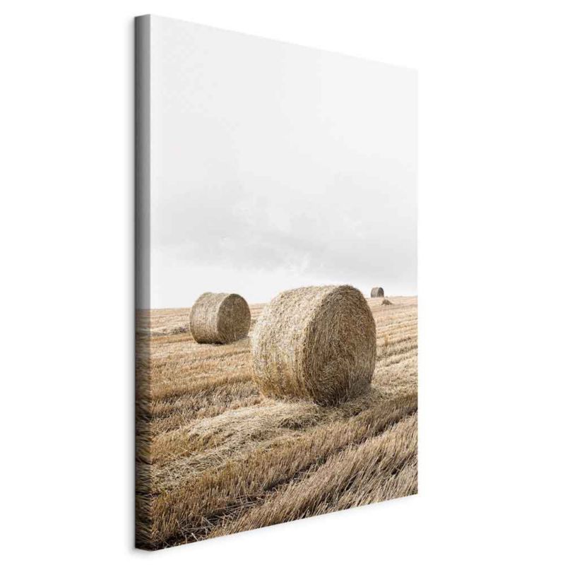 Obraz Artgeist Siano 40 x 60 cm płótno włoskie 1 szt