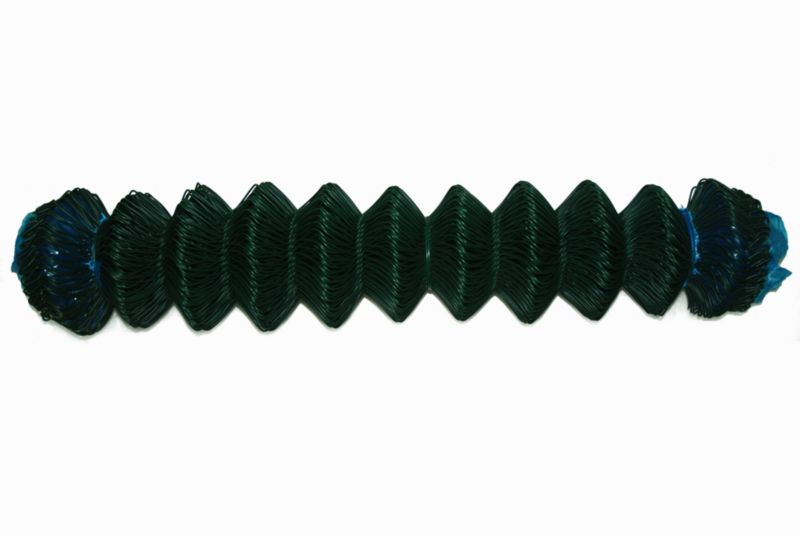 Siatka ogrodzeniowa pleciona 1 x 20 m oczko 50 x 50 mm zielona