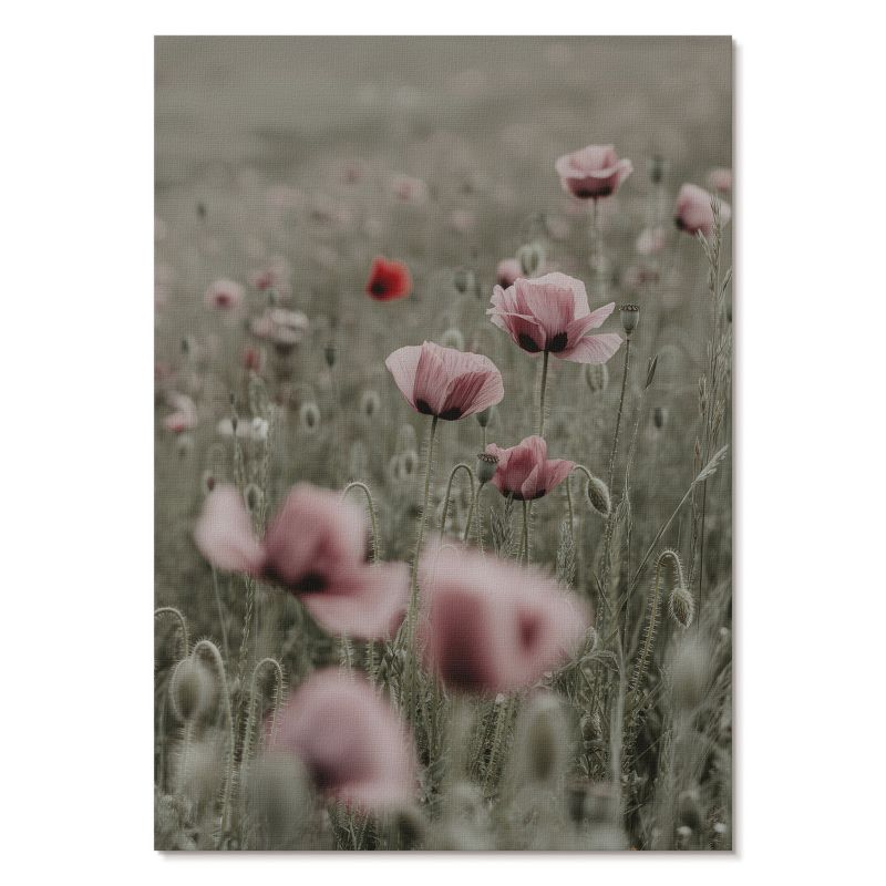 Obraz Plakat Canvas Tulup 42x59,4 cm (A2) Delikatne maki Do sypialni, salonu, biura 1 szt.