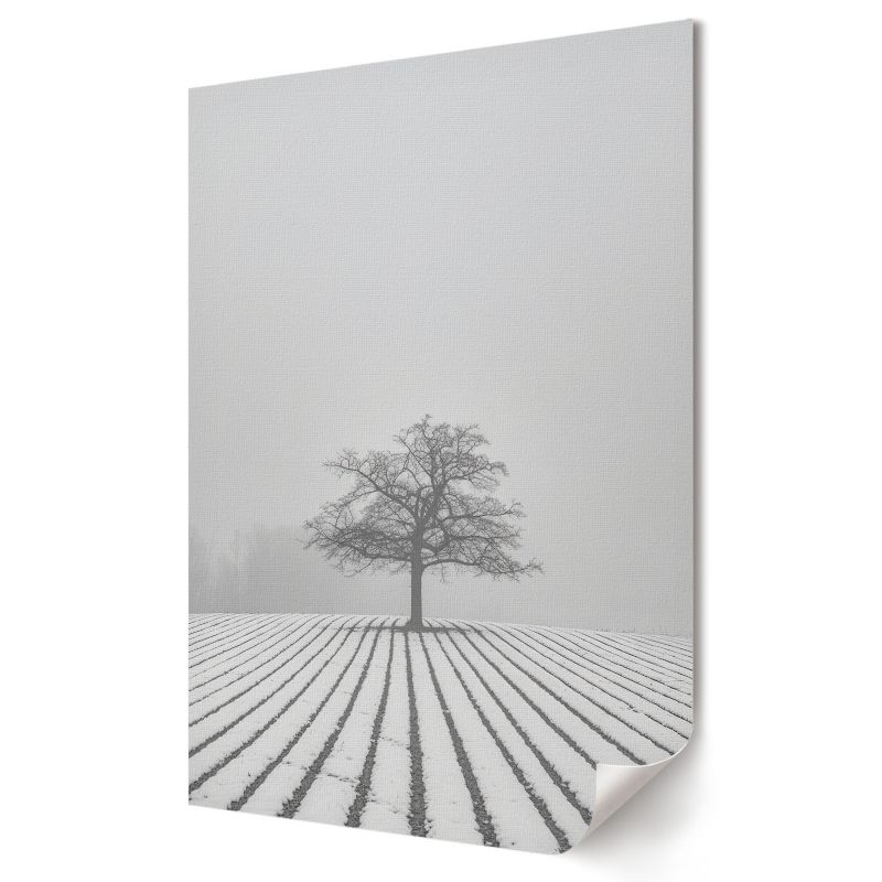 Plakat Wallfluent Format A1 Zimowy krajobraz Artysta Nitrozine 1 szt.