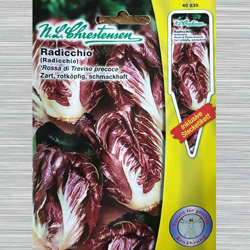 1 pac, Cicoare roșie (radicchio) Rossa di Treviso Precoce - Semințe: Mod de ambalare: 1 pac