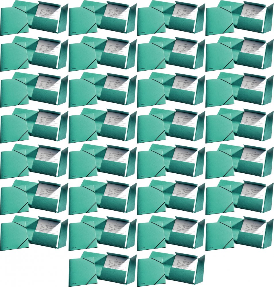 50x Teczka preszpanowa z narożną gumką Esselte, A4, 330g/m2, 4mm, zielony