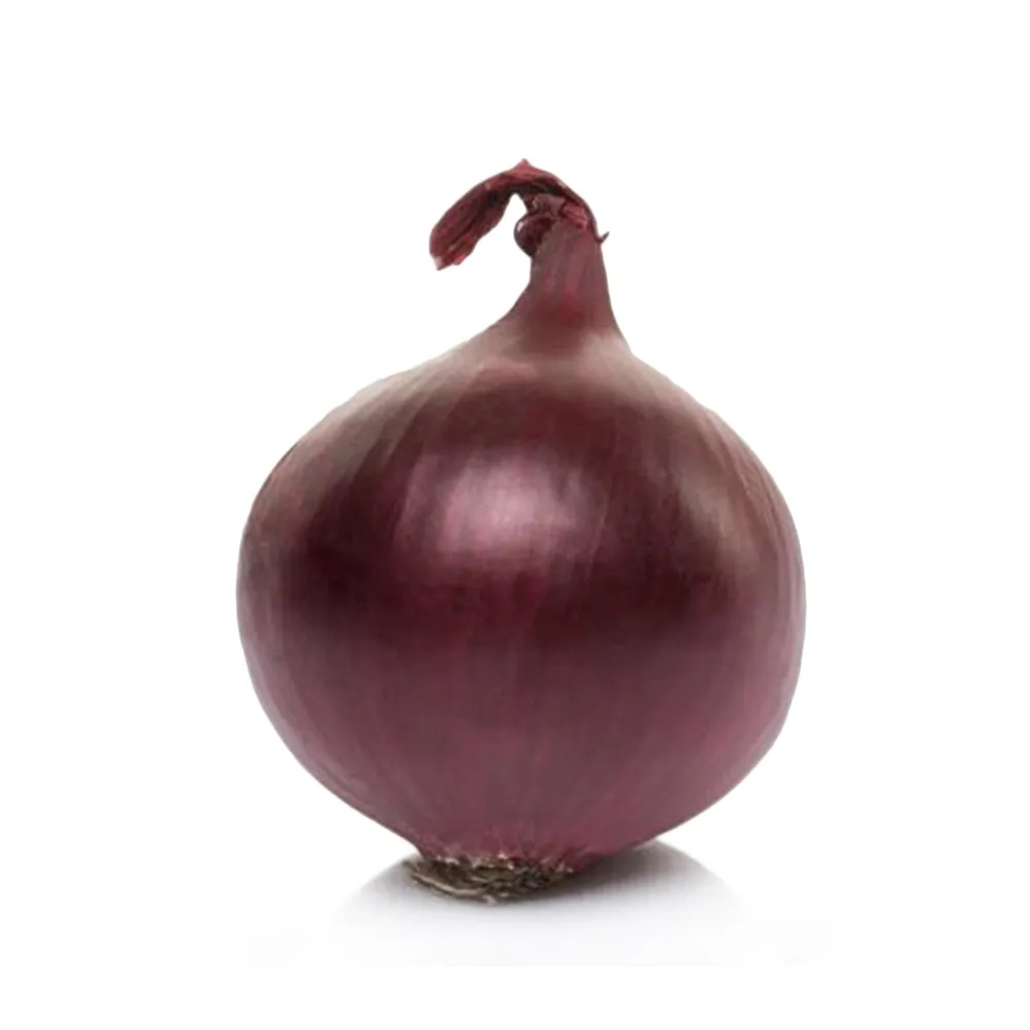 Cebula dymka Red Baron 14-21 250g