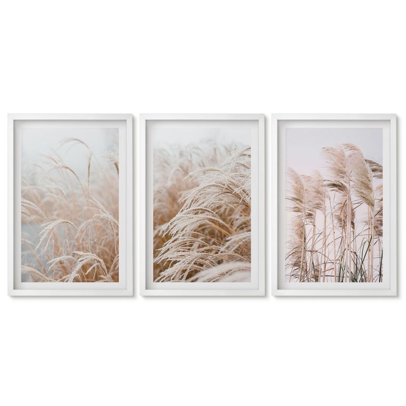 Zestaw 3 obrazów w białej ramie Tulup 40x60 cm Pola traw w brązie i beżu Obrazy nad biurko zestaw biała rama 1 kpl
