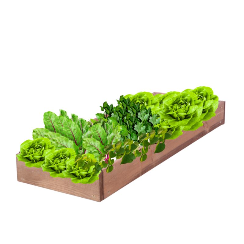 Skrzynia warzywna MODO24 regulowana donica 9x30x80 cm brązowe impregnowane drewno 1 szt
