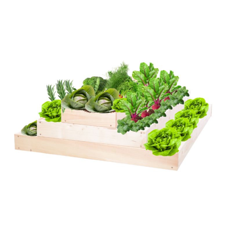 Skrzynia warzywna MODO24 regulowana inspekt 27x90x100 cm naturalne drewno 1 szt