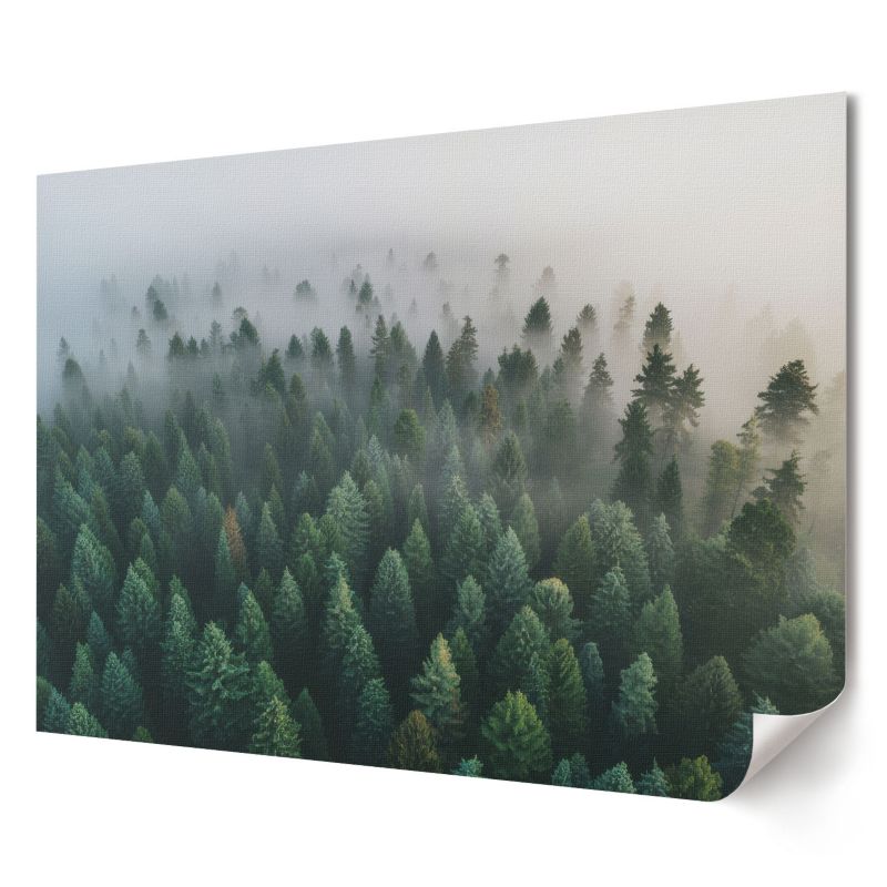 Plakat Wallfluent Format A3 Tajemniczy las Artysta Nitrozine 1 szt.