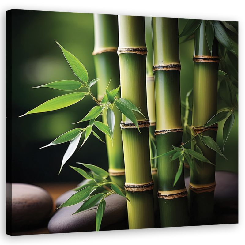Obraz do salonu sypialni Feeby Orientalny Bambus Zen 40x40 cm 1szt