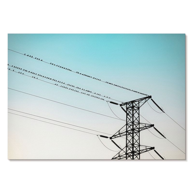 Plakat na Ścianę Tulup 84x59,4 cm (A1) Ptaki na przewodach Do salonu, biura, przedpokoju 1 szt.