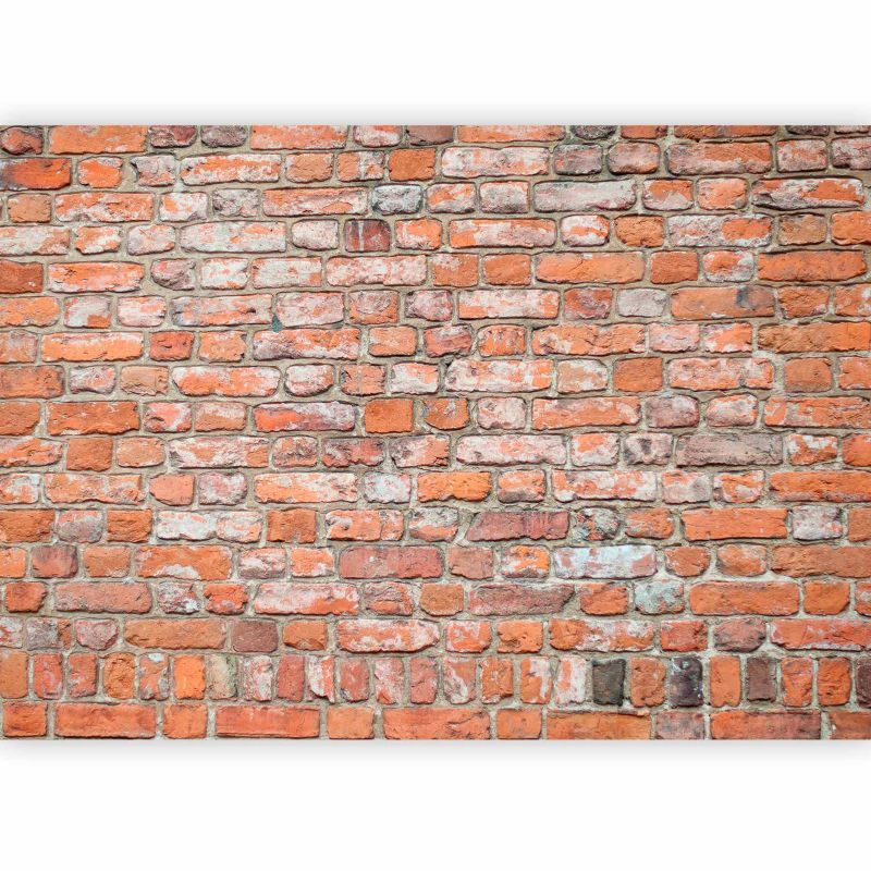 Fototapeta flizelinowa Artgeist 110g/m2 Tła i desenie beżowa 100x70 (2 części) 10109aa rolka 1 szt