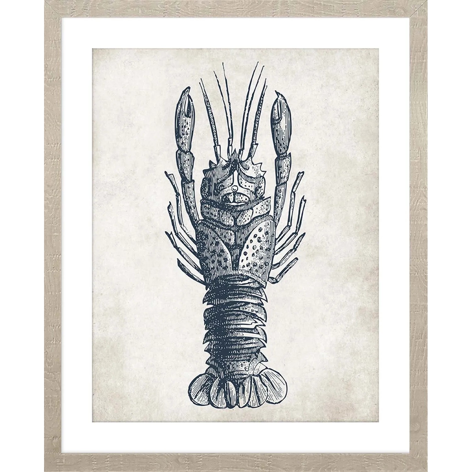 ARS LONGA Obraz LOBSTER OUTLINE 43 x 53 cm