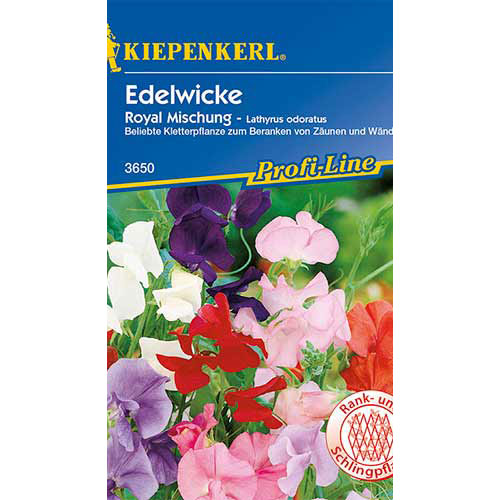 1 pac, Lathyrus odoratus (Sângele voinicului) Royal, mix multicolor Kiepenkerl - Semințe: Mod de ambalare: 1 pac