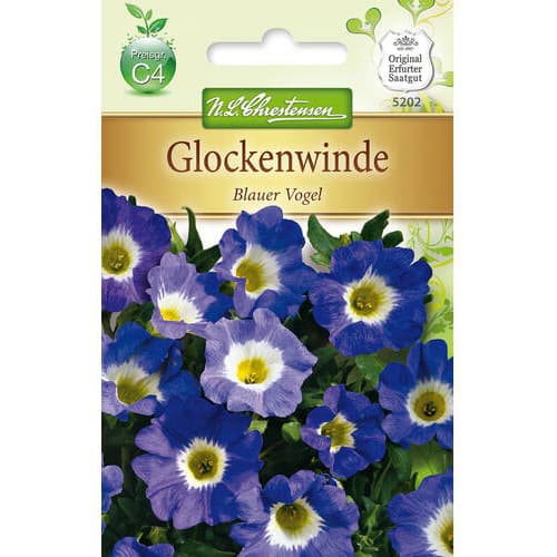 1 szt, Glockenwinde Blauer Vogel - Samen: Ilość w opakowaniu: 1 Stück