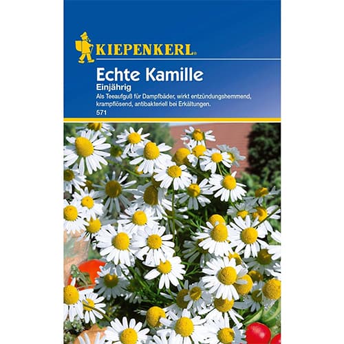 1 szt, Echte Kamille Einjährig - Samen: Ilość w opakowaniu: 1 Stück
