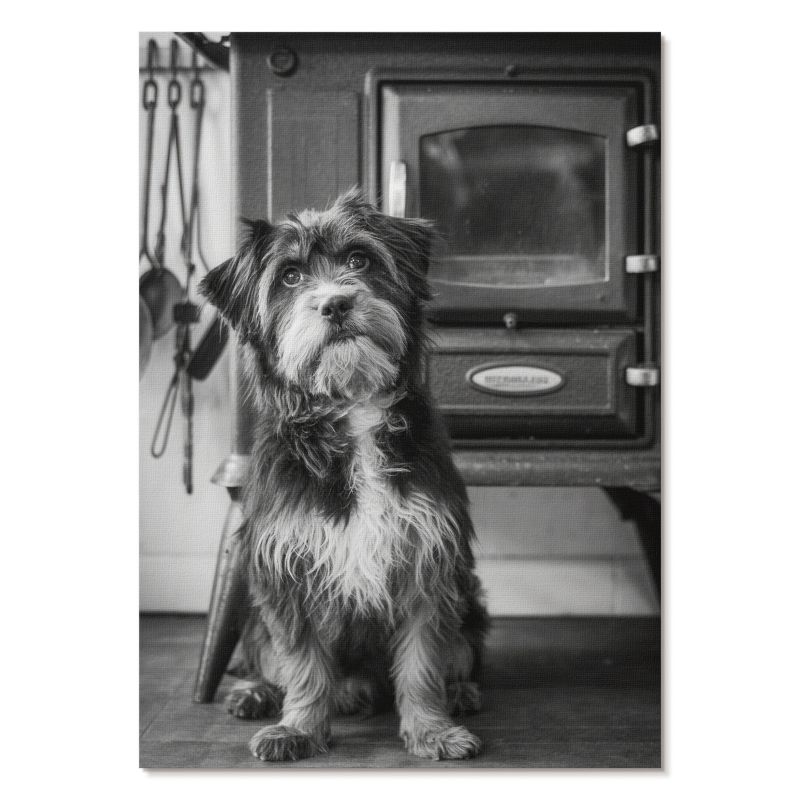 Obraz Plakat Canvas Tulup 42x59,4 cm (A2) Pies retro Do salonu, sypialni, przedpokoju 1 szt.