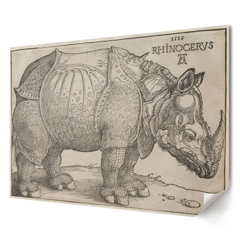Plakat na ścianę Wallfluent Format A1 Nosorożec Artysta Albrecht Dürer 1 szt.