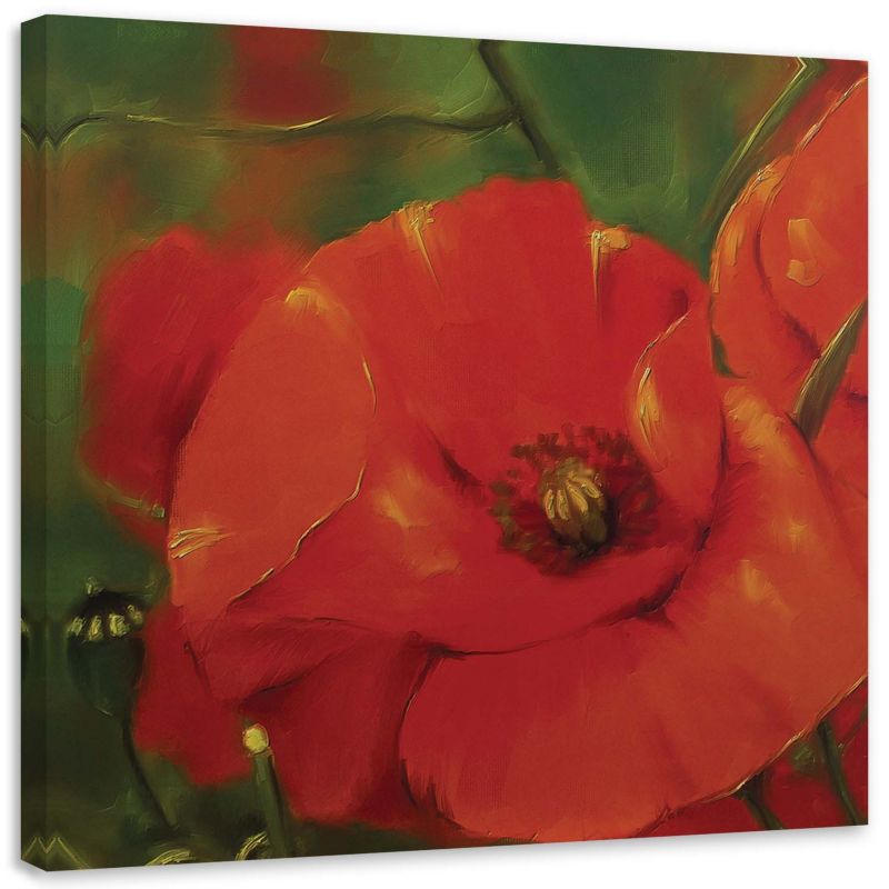 Obraz na płótnie Feeby Czerwony mak na łące 50x50cm 1szt