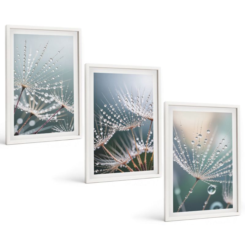 Zestaw 3 Obrazów w Białej Ramie ArtPrintCave 40x60 cm Galeria Ścienna Krople wody na pędach dmuchawców 1 kpl.