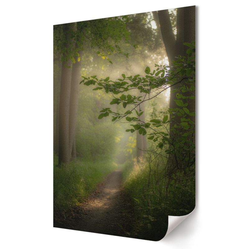 Plakat na ścianę Wallfluent Format A3 Leśny spokój Artysta digitalPhoto 1 szt.