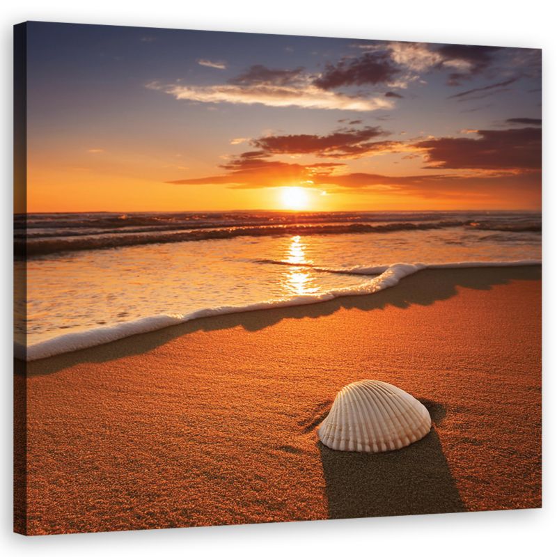 Obraz do salonu sypialni Feeby Muszla Plaża Słońce 40x40 cm 1szt