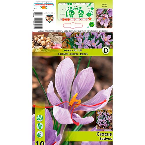 10 buc, Brândușe Sativus - Bulbi: Mod de ambalare: 10 buc