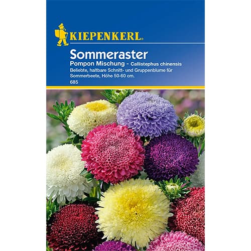 1 szt, Sommeraster Pompon Mischung - Samen: Ilość w opakowaniu: 1 Stück