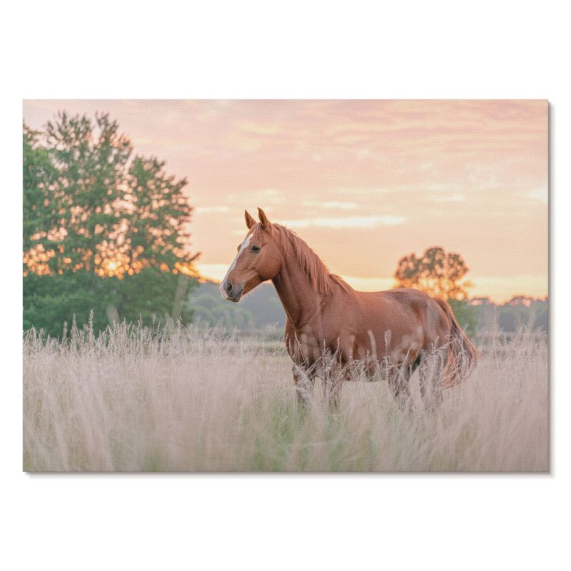 Plakat na Płótnie Tulup 29,7x21 cm (A4) Poranny spokój Do salonu, sypialni, biura 1 szt.