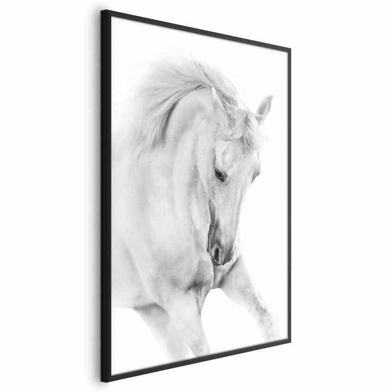 Plakat Artgeist Biały koń 40x60 cm z ramą czarną 1 szt