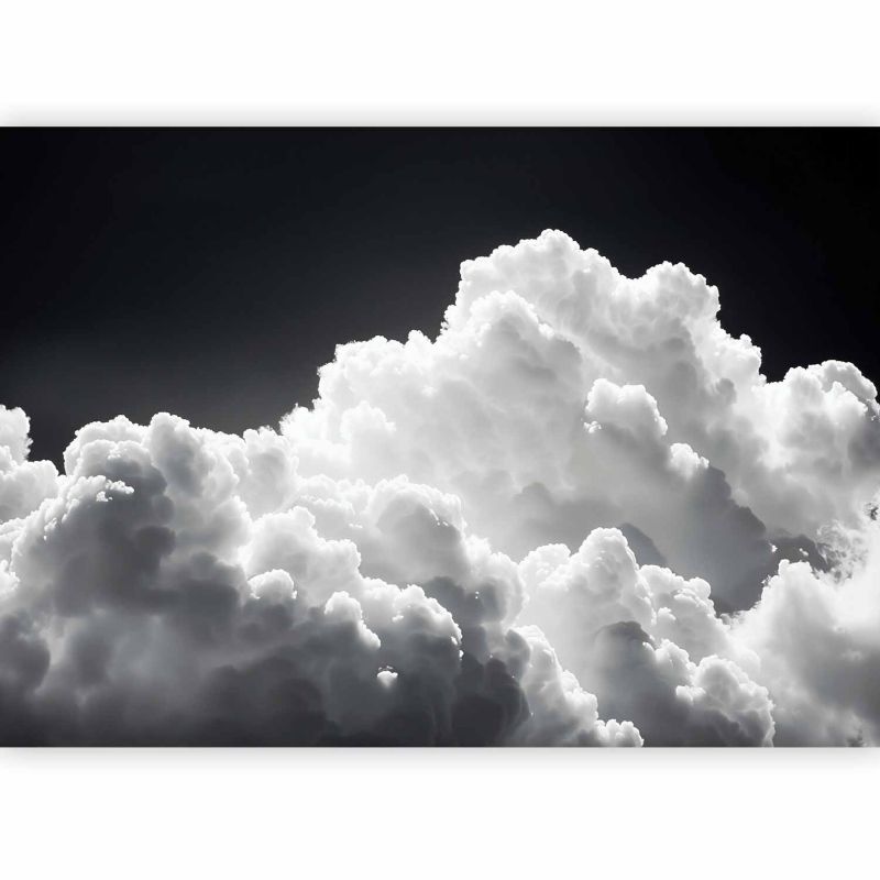 Fototapeta flizelinowa Artgeist 170 g/m2 wodoodporna Tła i desenie czarna 300x210 (6 części) 10042aa rolka 1 szt