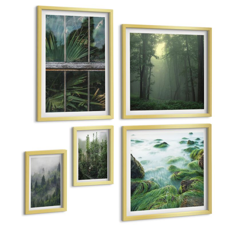 Galeria 5 Obrazów ArtPrintCave (2x50x50+2x20x30+40x60cm) Złota rama Zbliżenia roślin liście sukulenty 1 kpl.