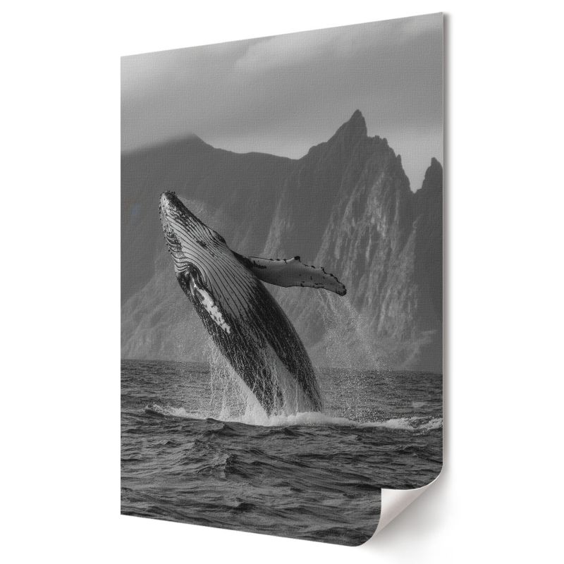 Plakat canvas Wallfluent Format A4 Skok wieloryba Formacja Artystyczna Monako 1 szt.