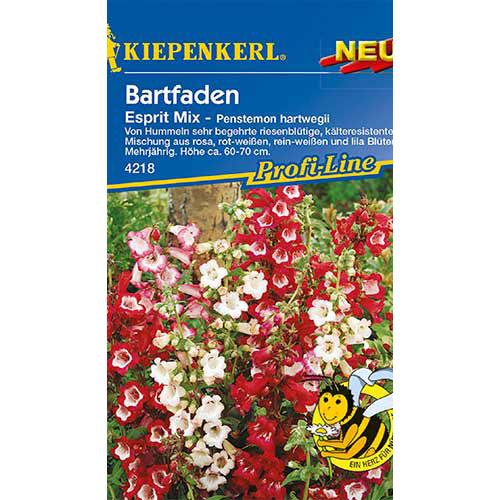 1 pac, Penstemon Esprit Kiepenkerl - Semințe: Mod de ambalare: 1 pac