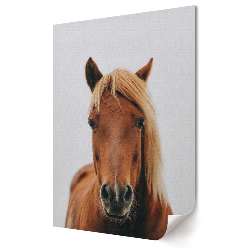 Plakat na ścianę Wallfluent Format A4 Koń portret Artysta Nyra 1 szt.