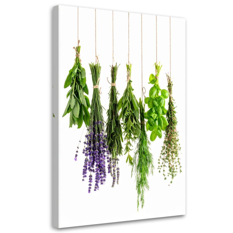 Obraz do kuchni jadalni Feeby Wiszące zioła 40x60cm 1szt