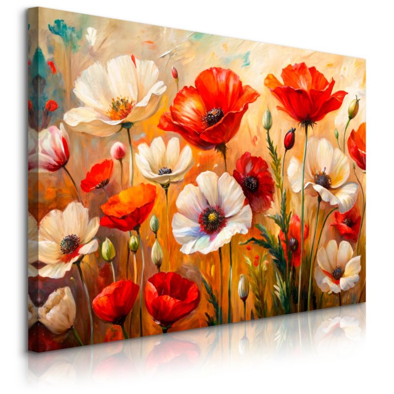 Obraz Muralo Na Płótnie Biało-Czerwone Tulipany Natura 120x80 cm 1 szt.