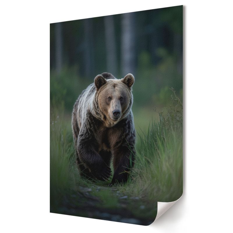 Plakat Wallfluent Format A4 Leśny niedźwiedź Artysta Karolina Pawlak 1 szt.