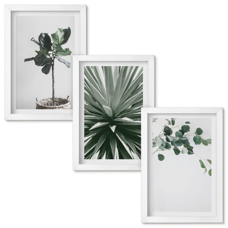 Zestaw obrazów Wallfluent Zielone rośliny minimalizm Biała rama 20x30cm 3 szt.