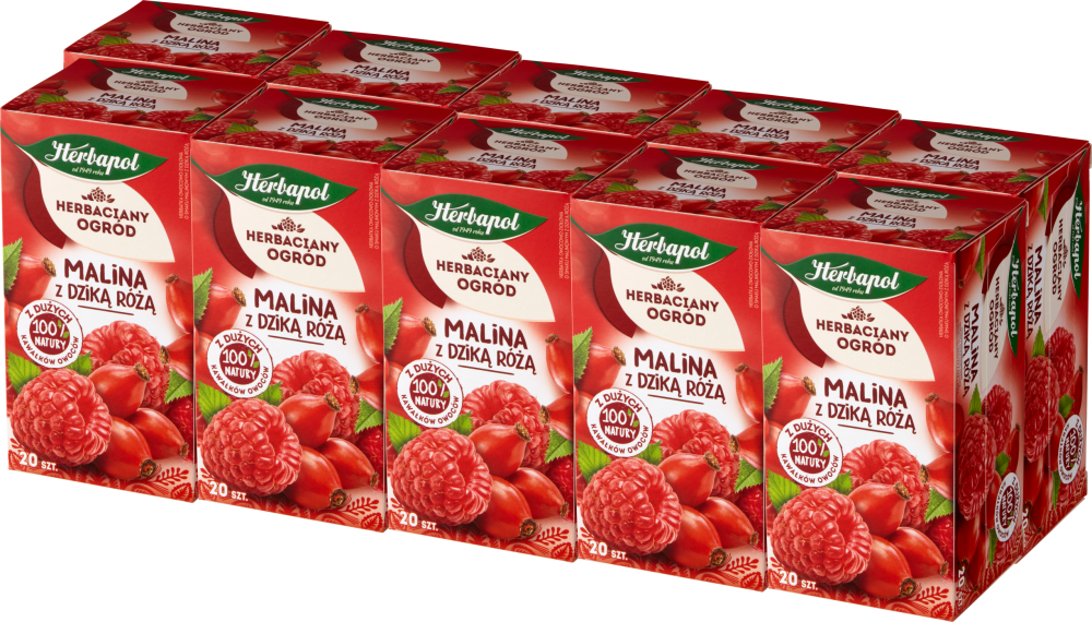 10x Herbata owocowa w torebkach Herbapol Herbaciany Ogród, malina z dziką różą, 20 sztuk x 2,7g