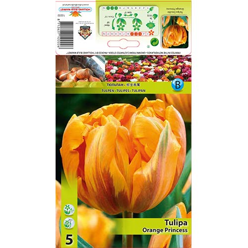 5 db, Tulipán Orange Princess - Hagymák: Mod de ambalare: 5 db