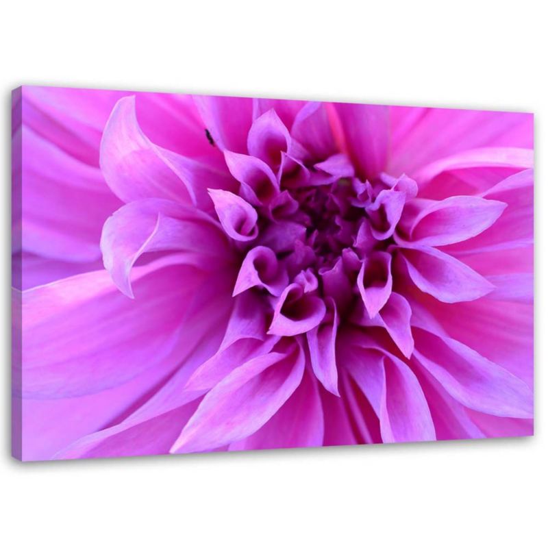 Obraz na płótnie Feeby Purpurowy kwiat 60x40cm 1szt